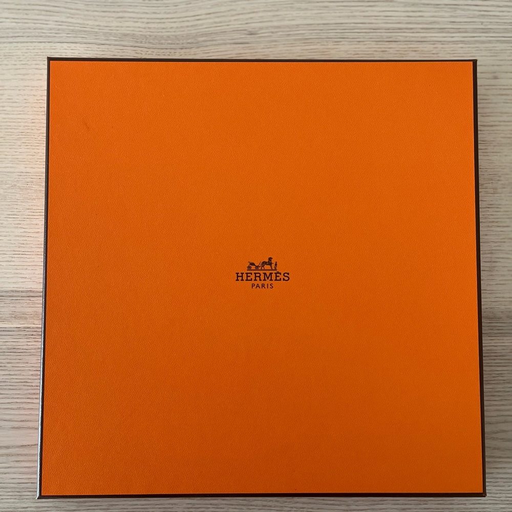🧣 Hermes Peinture Fraiche Scarf 45 - Brand New - Picture 7 of 8